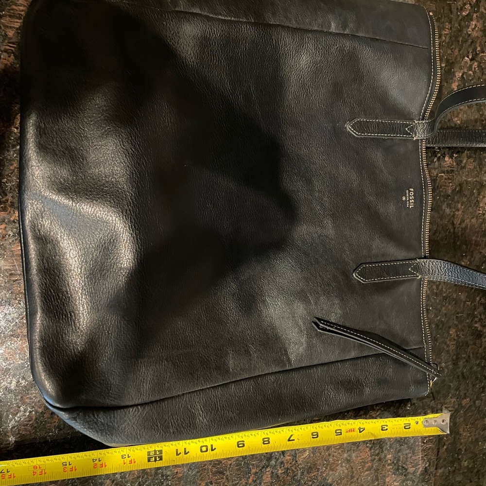 Large fossil purse
